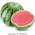 爱人影院 一路向西:探索爱情与欲望交织的奇幻旅程 2l5wlt8z2