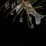 深入了解会员猫是什么app及其功能特点 2puh0