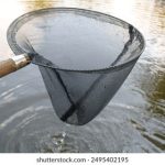 热门影视在线观看:畅享最新大片与经典剧集的最佳平台 b8w7pdu328