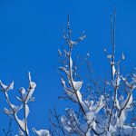 深入探讨 jmtt 在 GitHub 上的应用与发展 h20jb