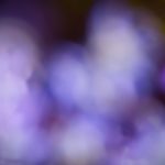 热血沸腾!十部必看原耽电竞小说推荐 vrf6k5fo64