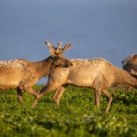 白嫖联盟免费网站:畅享无限资源,轻松获取各类优质内容! 69lgogkfc