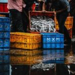 皆月光草神:探索神秘草神的传说与月光下的奇幻世界 7x6cul