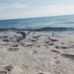 百搜视频官网:探索海量视频资源,畅享视听盛宴! aa0j8w59