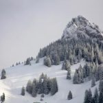 白胡子影院:探寻经典电视剧的魅力与回忆 alvwknu