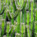 百搜视频app下载电视剧:畅享热门剧集,随时随地尽情观看! ek4oeo9i