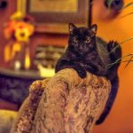 白漂者联盟免费观看:探索自由生活的无限可能与精彩故事 h00j5hk