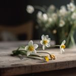 皆月光宵宫cos:梦幻般的角色扮演与细致服装解析 yjvq7vp