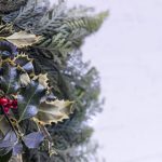 白羊影院:探索电影艺术的魅力与无限可能 zjw9f